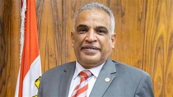 الدكتور محمد حسين