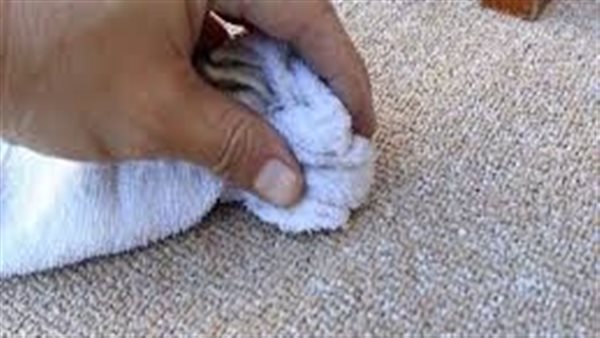 قبل عيد الفطر 2025..