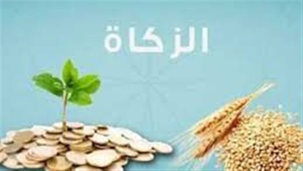 كل ما تريد معرفته