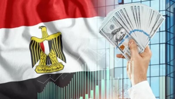الاستثمارات المصرية