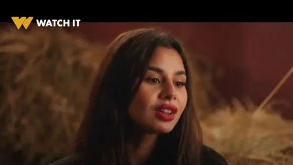 مسلسل وتقابل حبيب