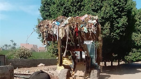 جانب من الفاعليات