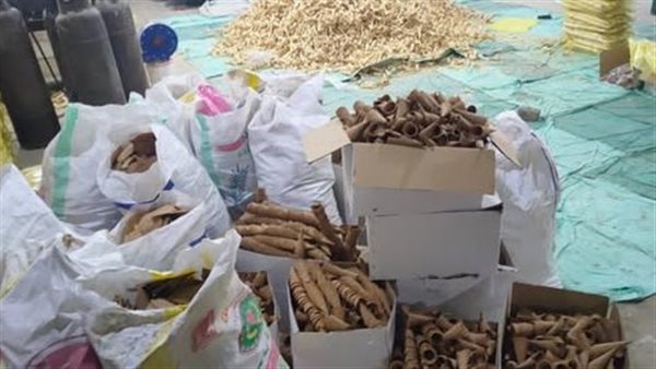 جانب من المضبوطات