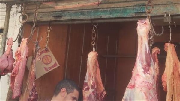 جانب من المعروضات