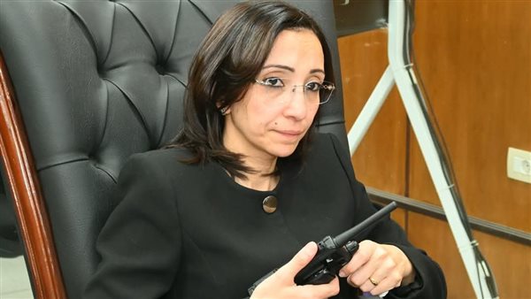 محافظ البحيره 