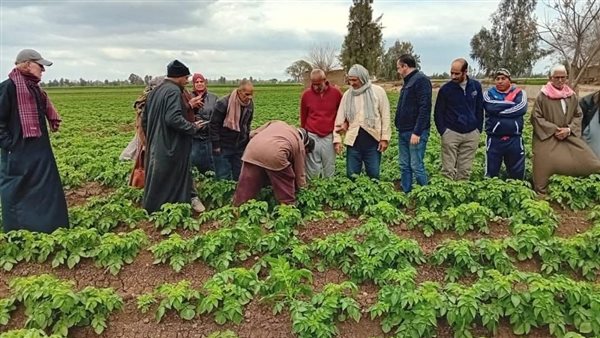 وزارة الزراعة 