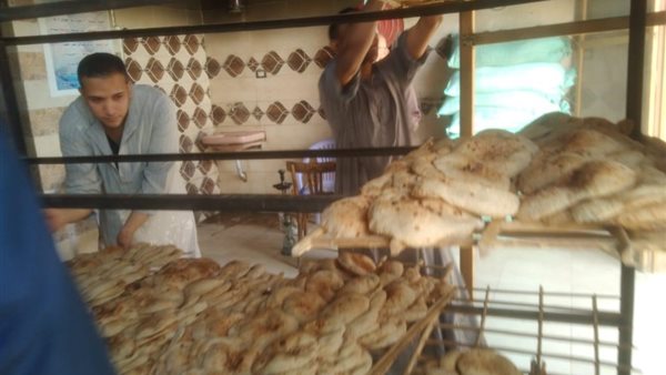 حملات مديرية التموين