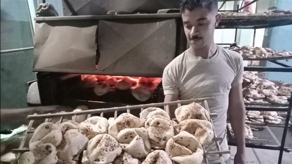 جانب من الفاعليات