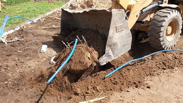 جانب من الفاعليات