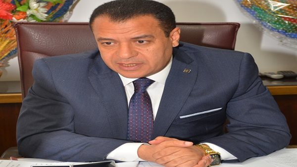 د. شحاتة غريب، نائب