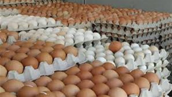 سعر كرتونة البيض