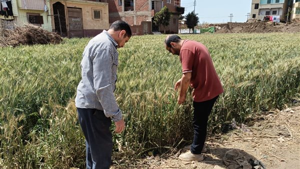 أنشطة  الإدارة المركزية