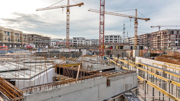 قطاع التشيد 