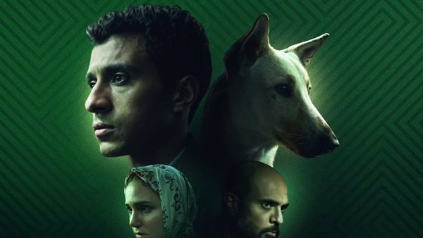 البحث عن السيد رامبو