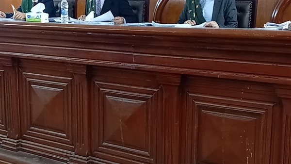 جنايات دمنهور الدائرة