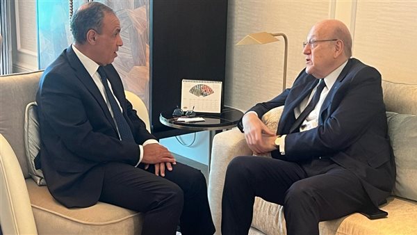 وزير الخارجية يستقبل