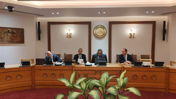 نائب وزير الخارجية