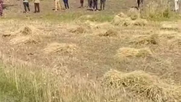 صورة الحريق 