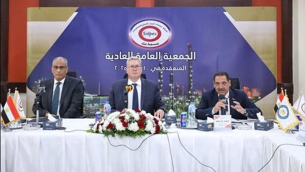 المهندس كريم بدوي