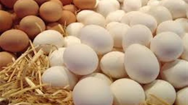  أسعار البيض اليوم