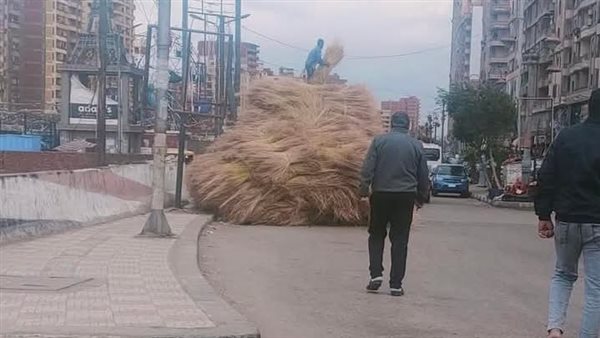 صورة الحادث 