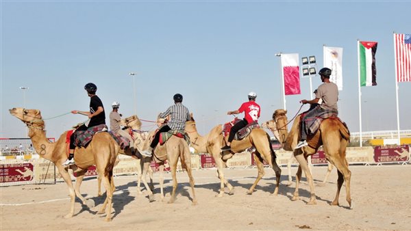 البطولة الدولية ليد