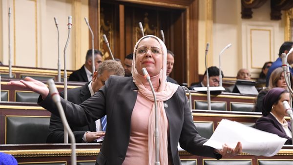 عضو مجلس النواب 