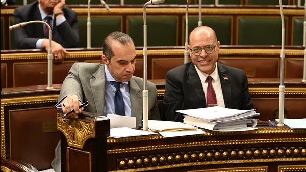 وزير العمل والمستشار