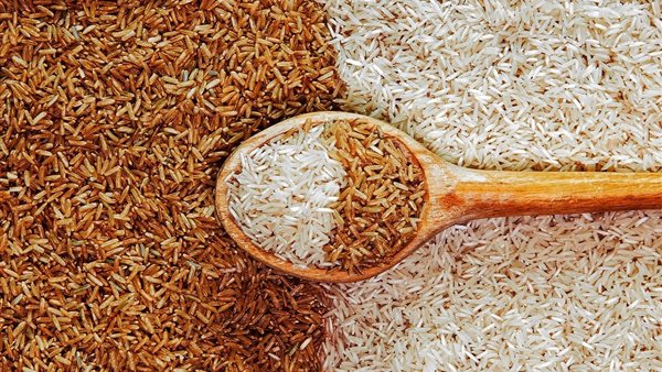 سعر طن الشعير في