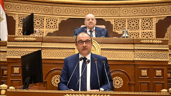 وزير  قطاع الأعمال