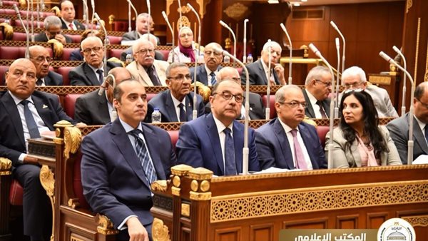 جانب من الجلسة 