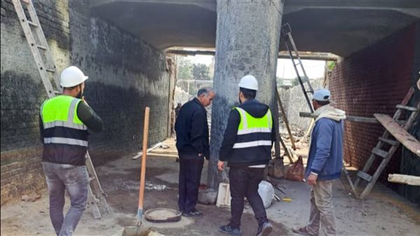 جانب من الفاعليات