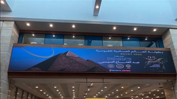 المصريين اوت دور