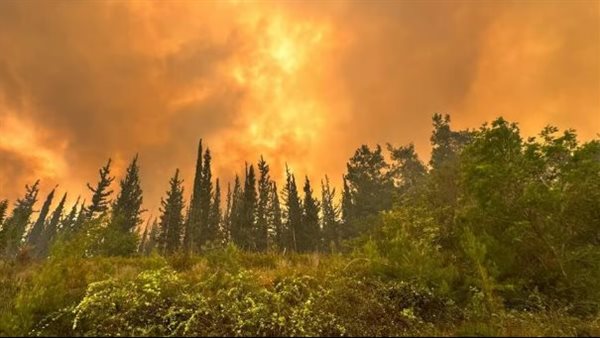 الحرائق في إسرائيل