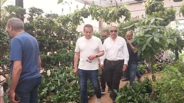 جانب من الفاعليات