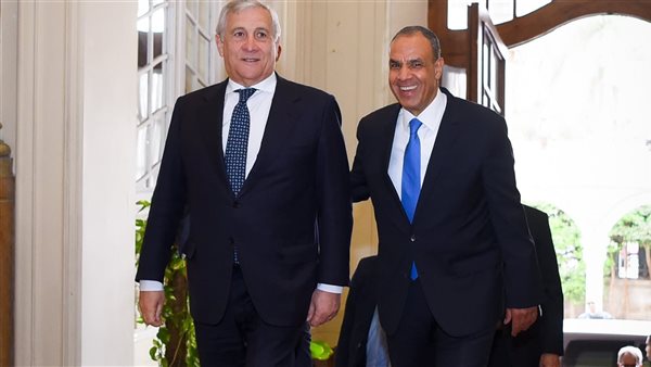 وزير الخارجية ونظيره