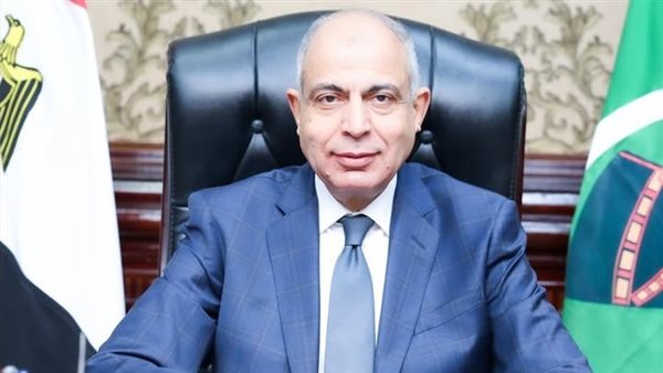 محافظ المنيا