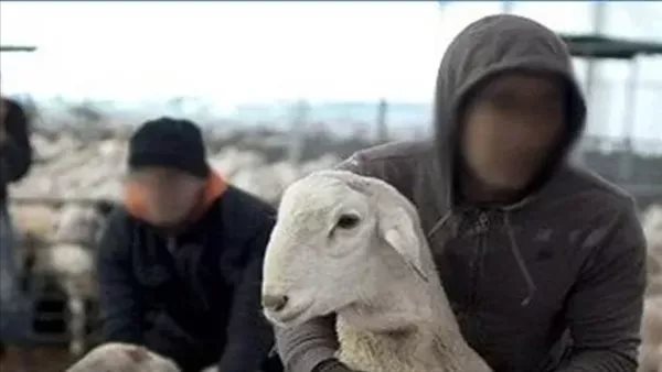 صورة تعبيرية 