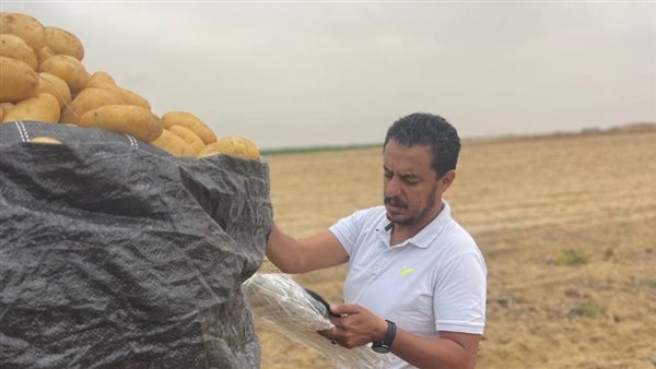 جانب من الفاعليات