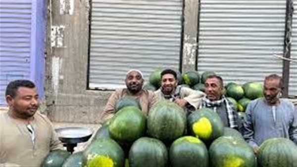 سعر البطيخ اليوم