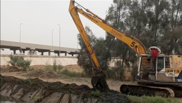 جانب من الفاعليات