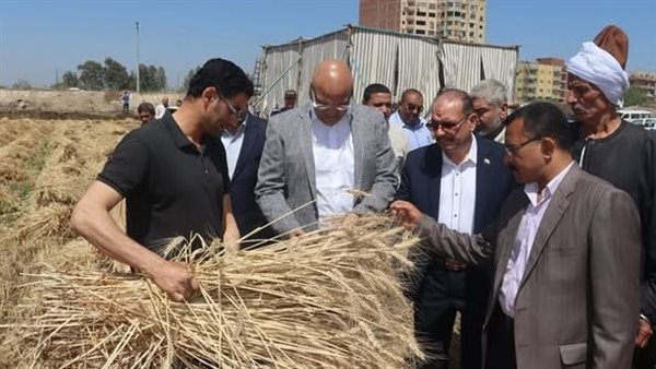 جانب من الفاعليات