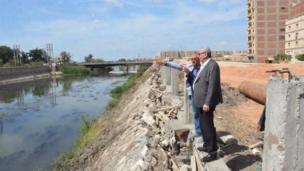 جانب من الفاعليات