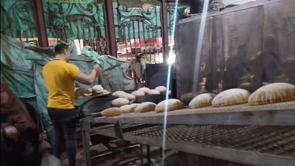 جانب من الفاعليات