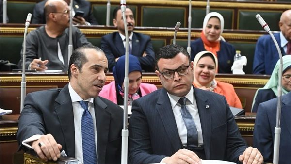 المستشار محمود فوزي