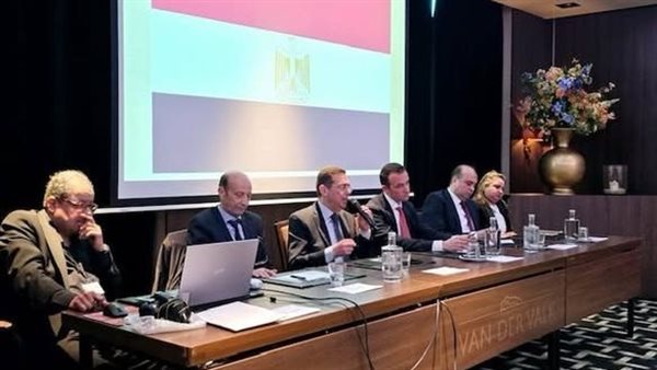 السفير المصرى فى