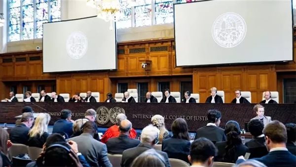 مندوب مصر أمام العدل