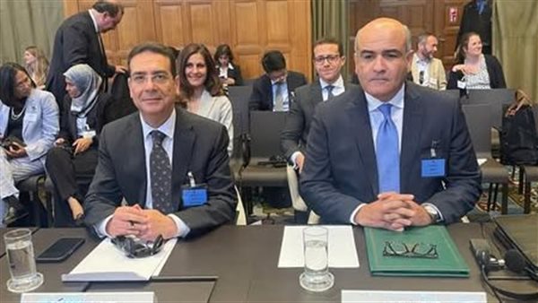 السفير حاتم عبد القادر