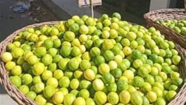 سعر كيلو الليمون