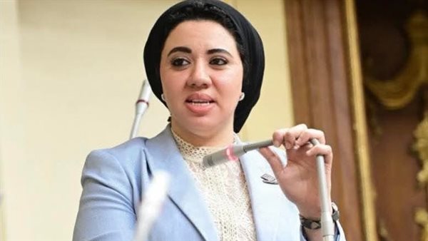 النائبة أميرة صابر